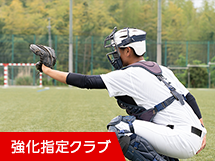 硬式野球(男子)